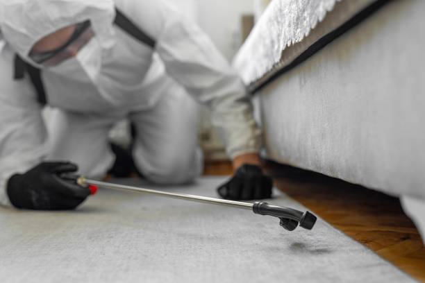 Professional Bed Bug Control technician working in Stewartville, AL