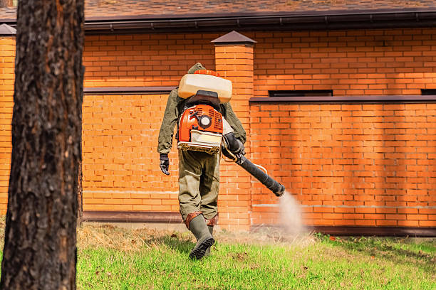 Trusted Mosquito Control service in Stewartville, AL - Nex Pest Control